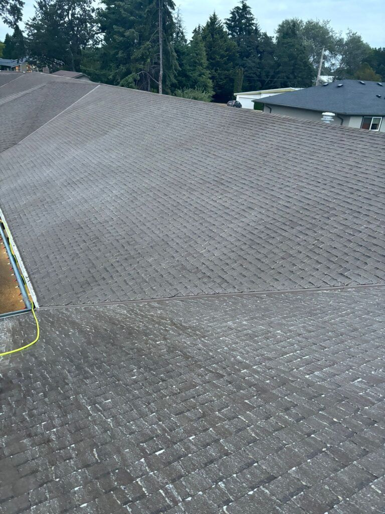 Roof with moss partly cleaned