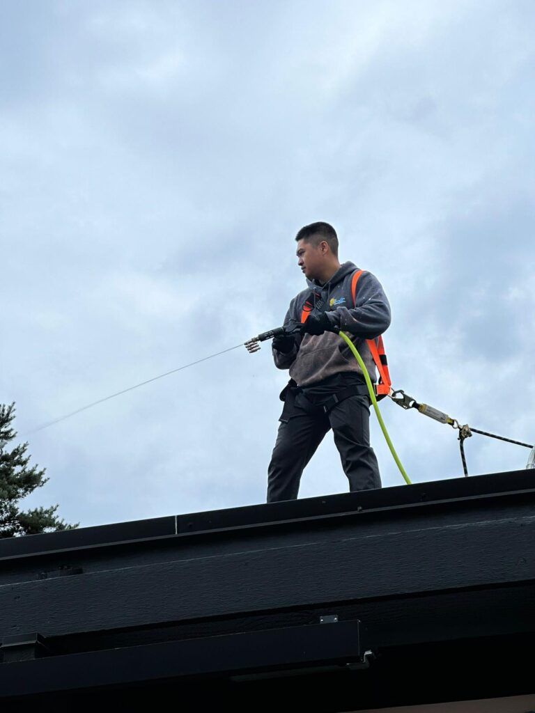 Professional roof cleaner is soft washing roof shingles
