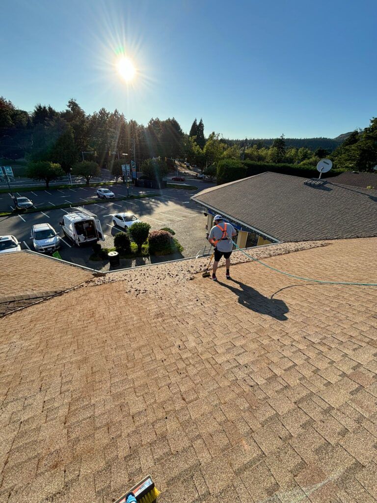 Professional roof cleaner cleaning moss off roof shingles
