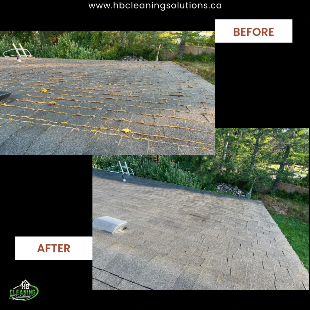 Before and after roof moss removal service