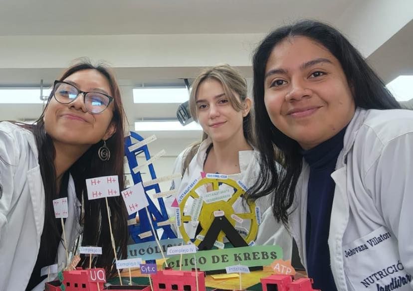 Prenatal Nutrition Project