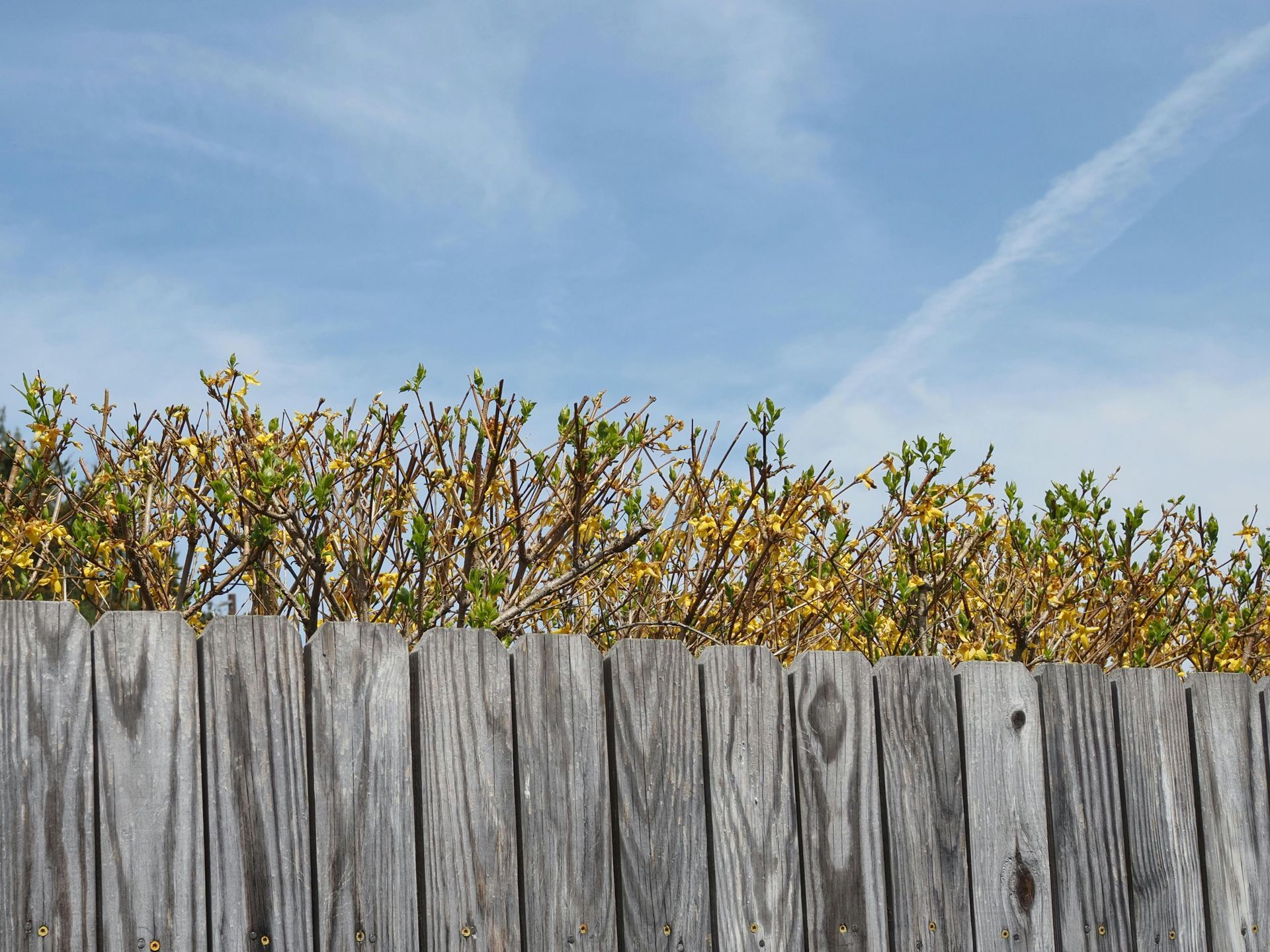 Broken Fence Post Repair | Edinburgh Fence Experts