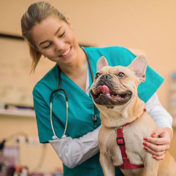 Vet and a Happy Dog — Federal Way, WA — Cascade Veterinary Hospital