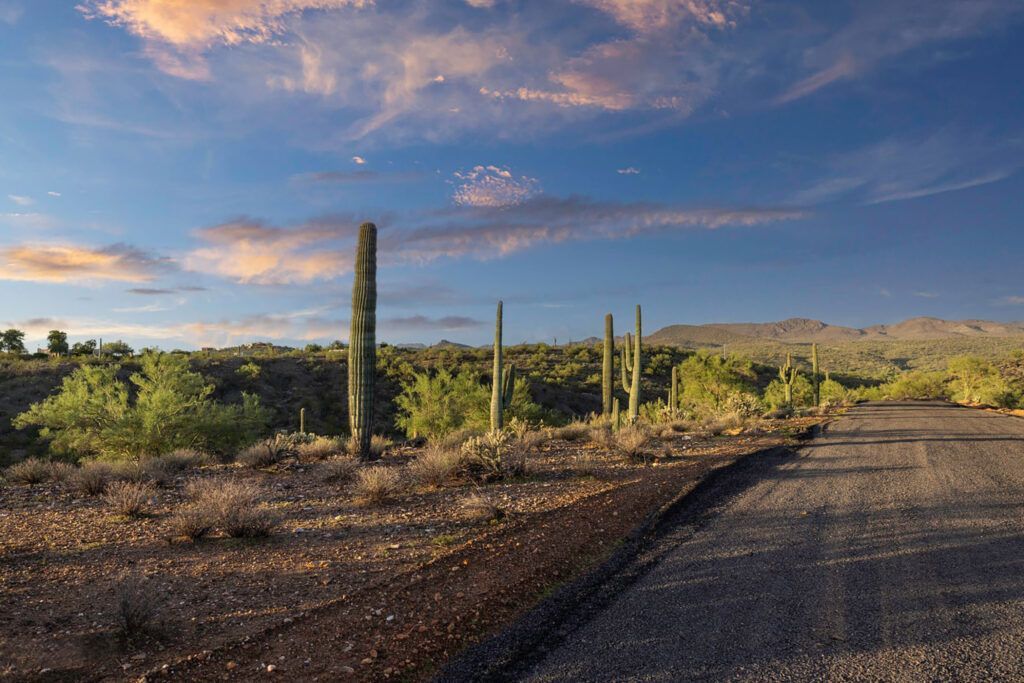 #1 NORTH QUIET HILLS DRIVE LOT 1 - MORRISTOWN