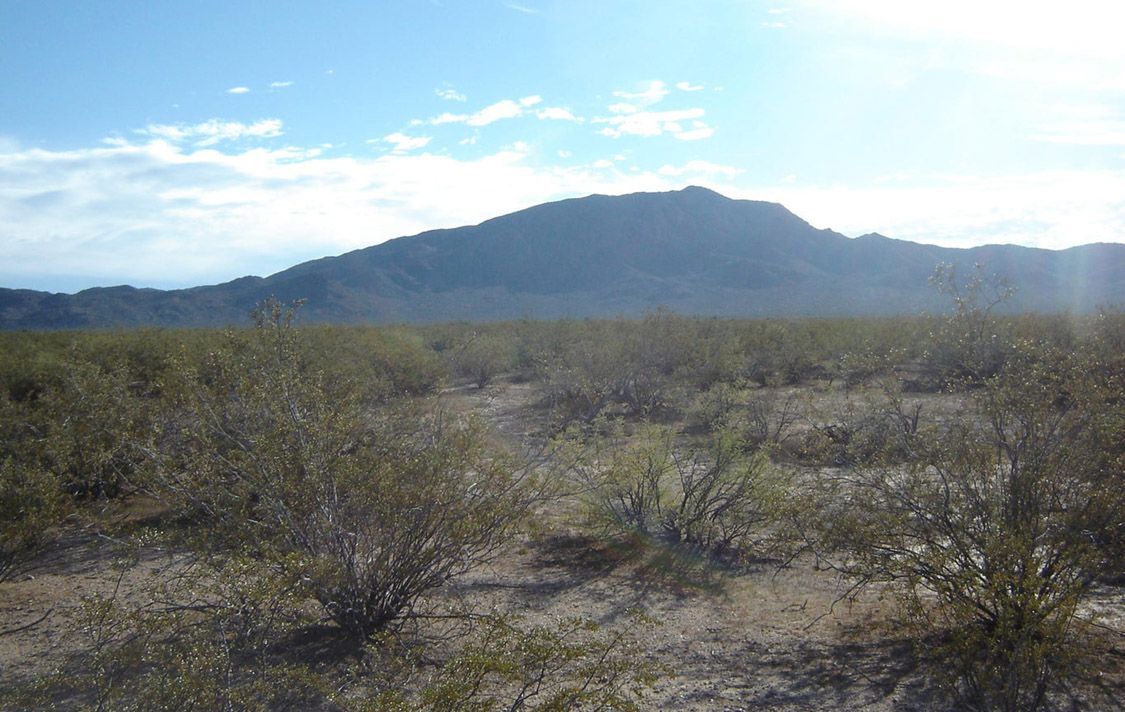 0 N 529TH AVENUE, 1 - AGUILA