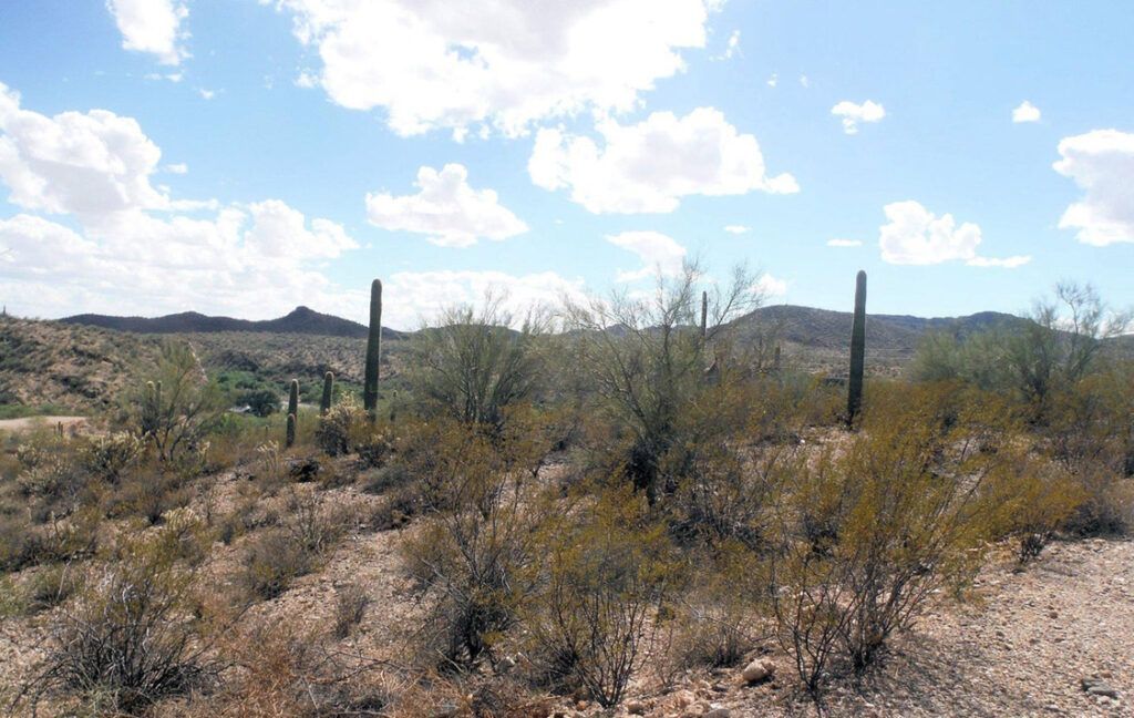 0 N US HIGHWAY 60, ROUTE 52 - WICKENBURG