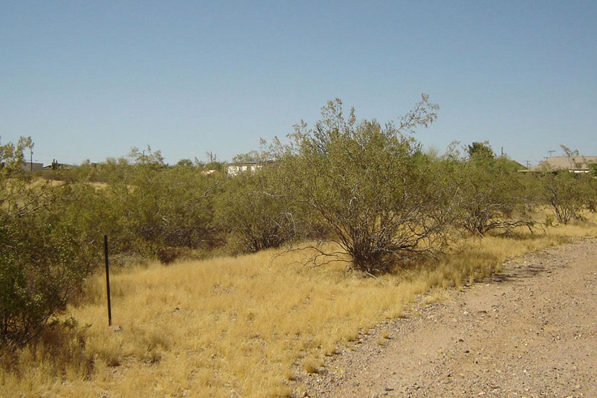 0 REIZEN DRIVE 37 - MORRISTOWN