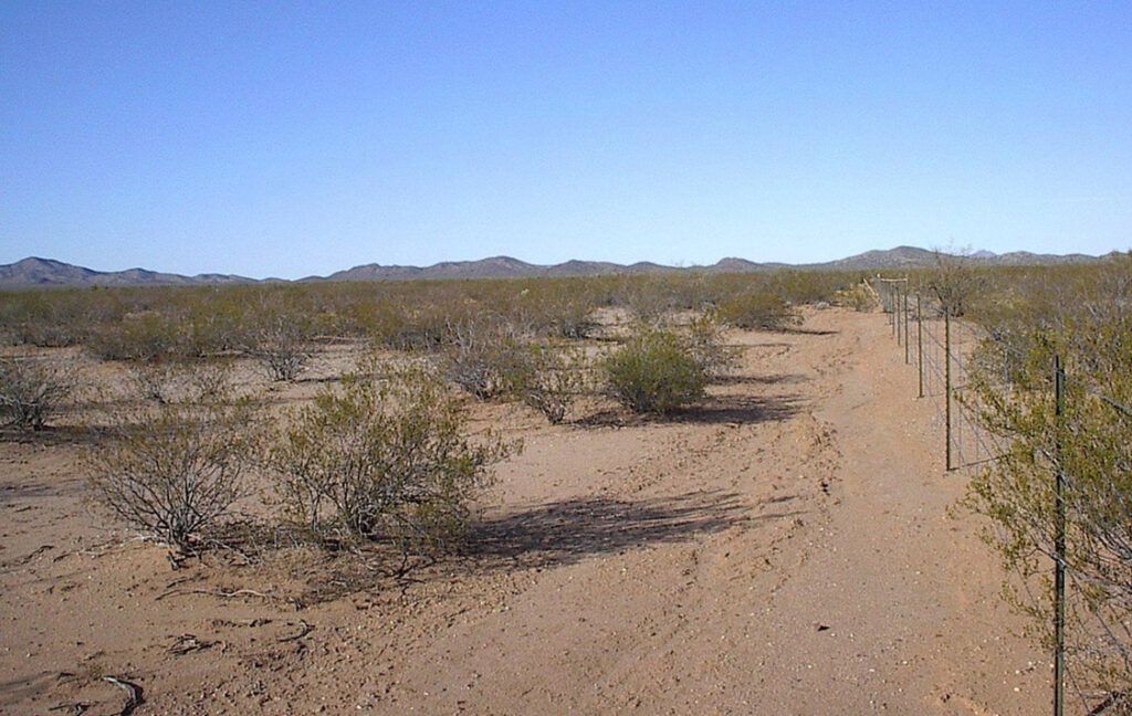 0 RIDER ROAD, 0 - AGUILA