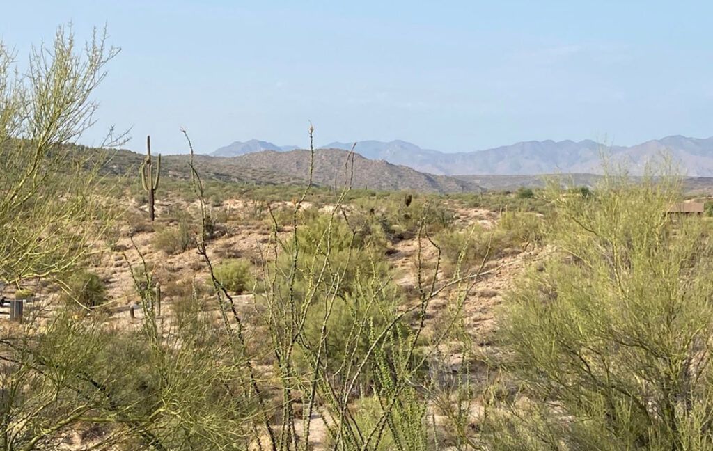 0 W ENCELIA COURT - WICKENBURG