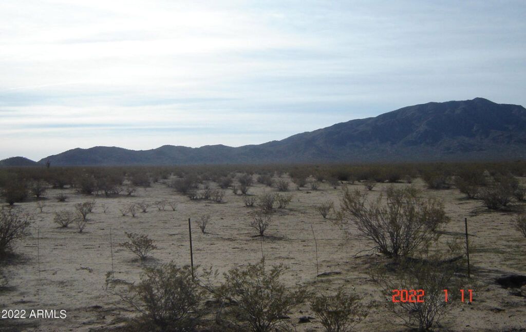 0 WILLIAMS ROAD, 2 - AGUILA