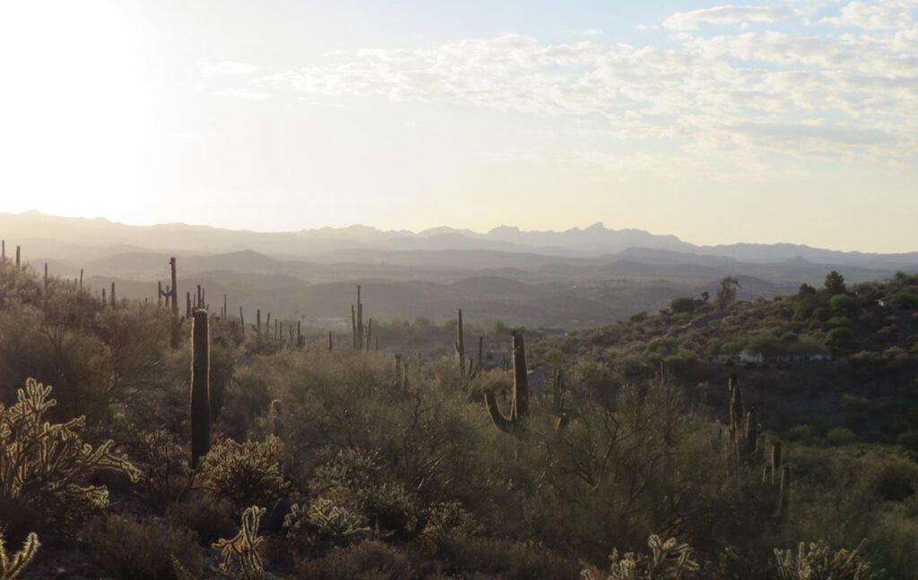 11 S KELLIS ROAD, 3 - WICKENBURG