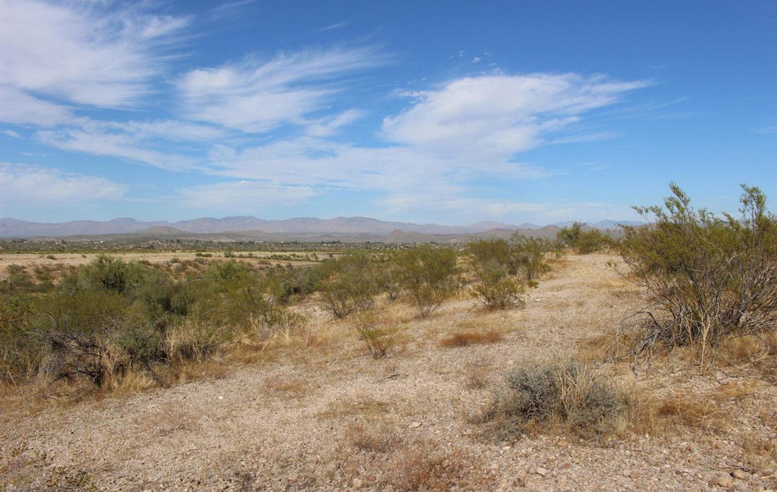 2050 W PERCHERON ROAD, 103 - WICKENBURG