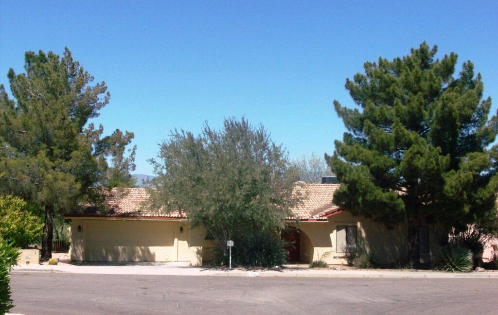 2140 W TERRACE DRIVE - WICKENBURG