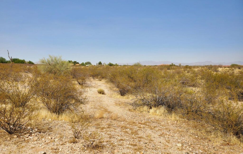 21400 W VISTA ROYALE DRIVE, 26 - WICKENBURG