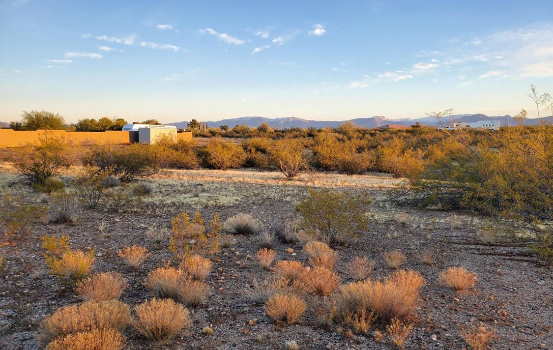 21420 W VISTA ROYALE DRIVE, 25 - WICKENBURG