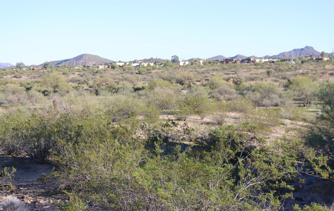 2365 W HIGHRIDGE ROAD, 63 - WICKENBURG