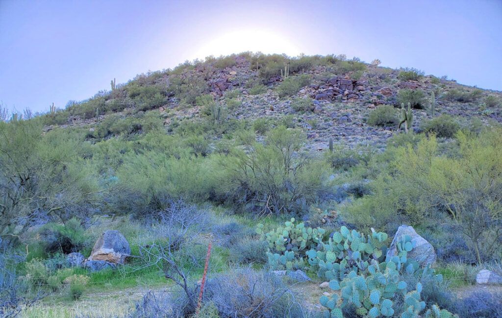 25440 S GHOST TOWN ROAD, 20 - CONGRESS