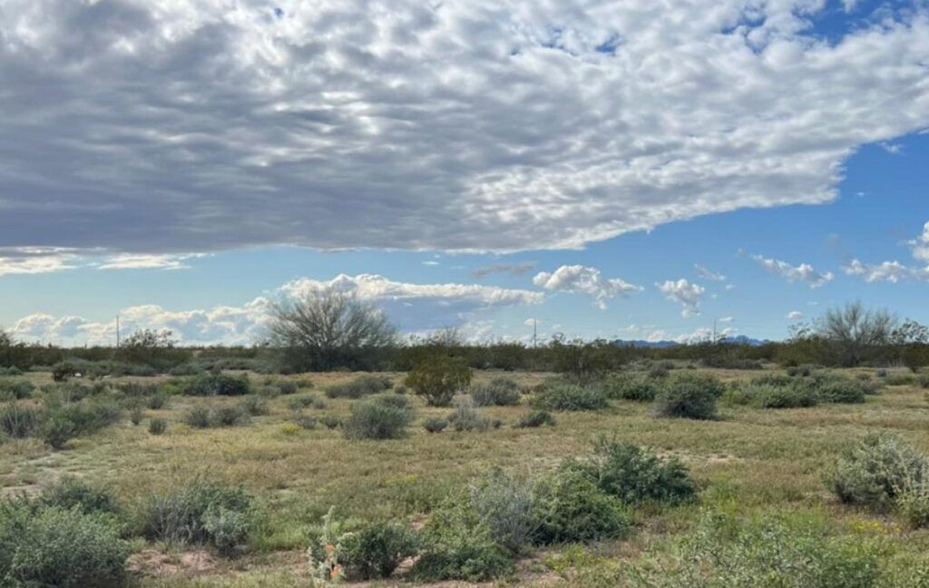 32916 N 228TH DRIVE - WITTMANN