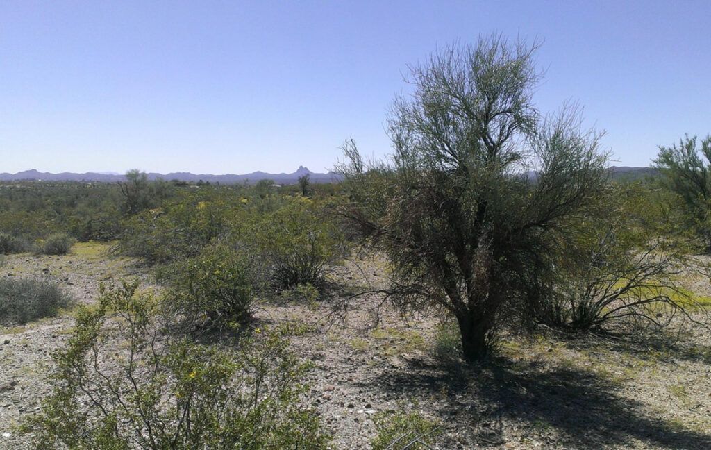 34765 S NINE IRONS ROAD - WICKENBURG