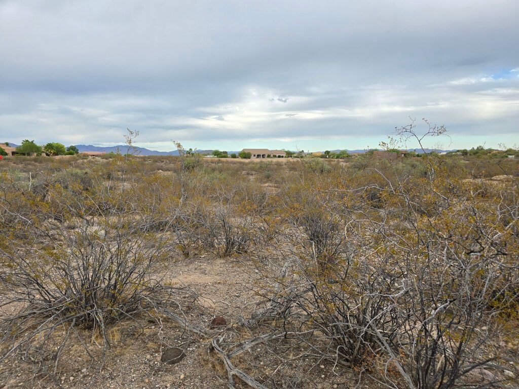 35525 SOUTH ANTELOPE CREEK ROAD - WICKENBURG