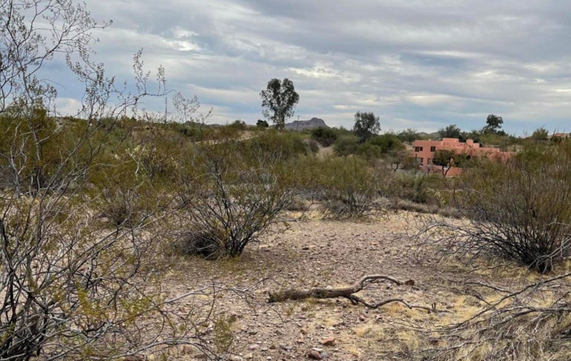 50835 THRASHER LANE, 47 - WICKENBURG