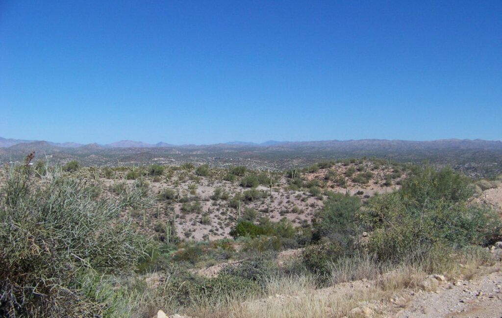 55 E VIA DEL CIELO DRIVE, 14 - WICKENBURG