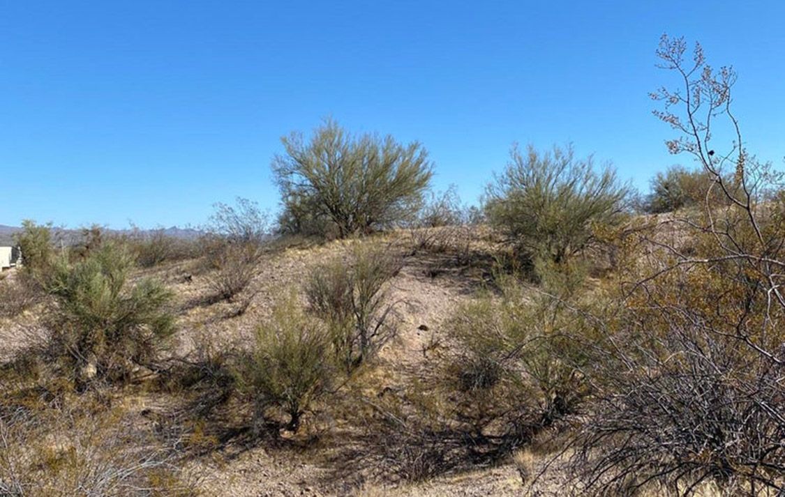 56202 N VULTURE MINE ROAD, 2 - WICKENBURG