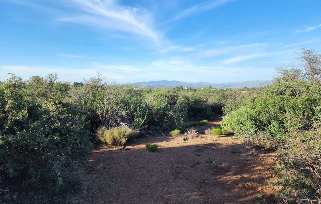 7565 W DERRY DRIVE - WILHOIT