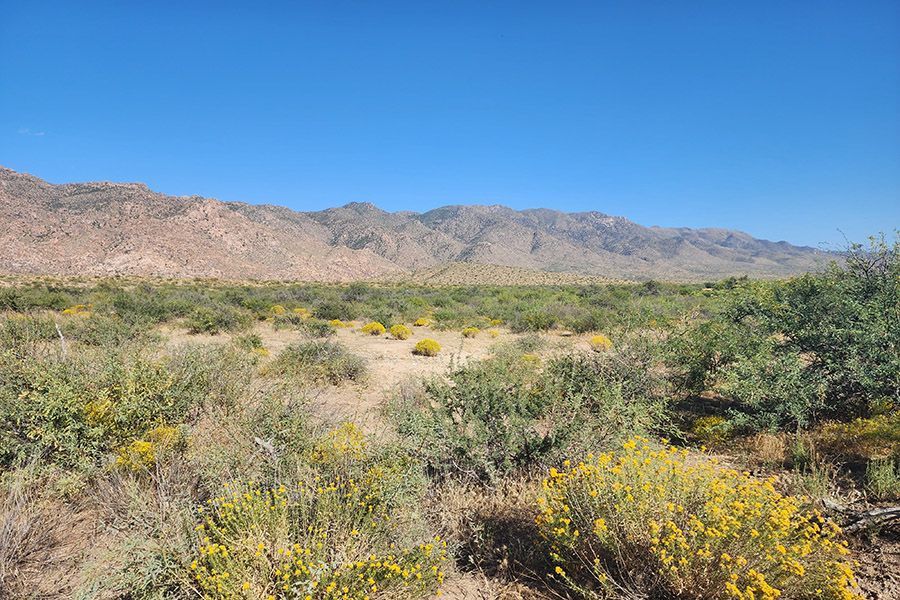 33 ACRE DATE CREEK ROAD - CONGRESS