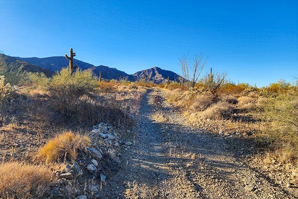 66000 POWERLINE ROAD - WENDEN