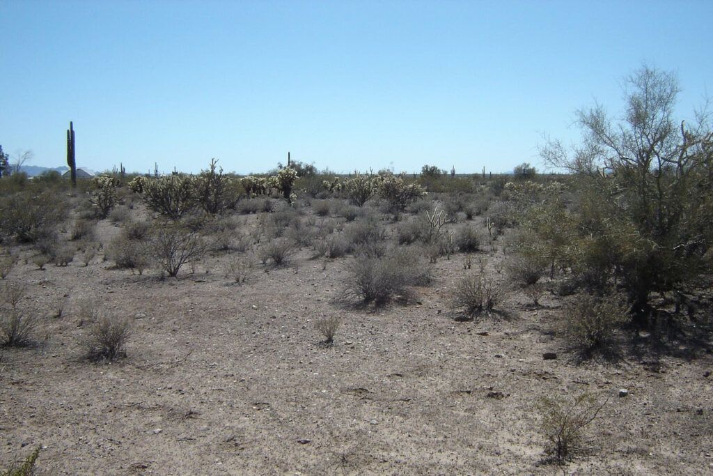 NORTH 251ST AVENUE - MORRISTOWN