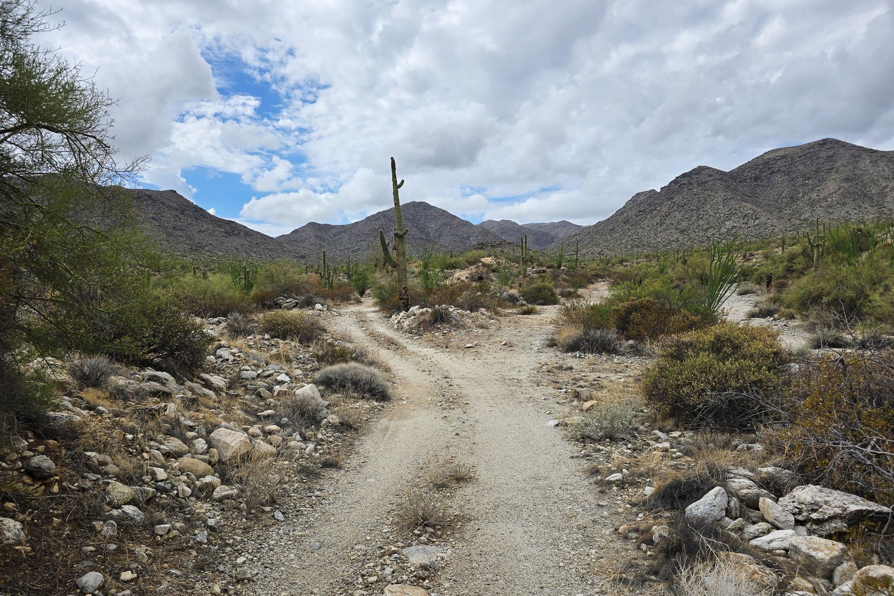 A dirt road winds through a desert landscape towards distant mountains under a cloudy sky.