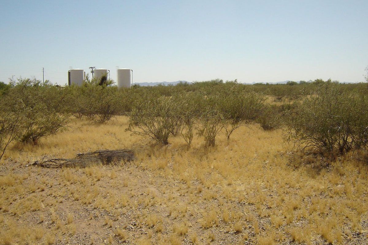 WEINBERG ROAD 242 - MORRISTOWN