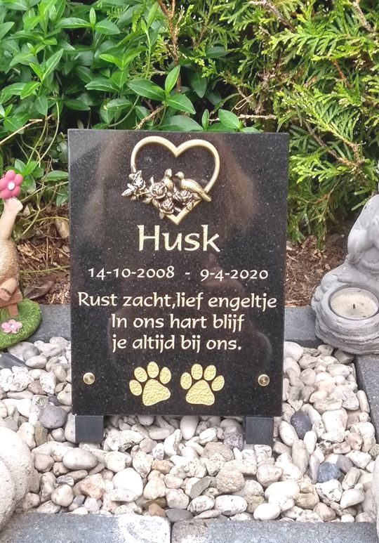 Mag ik mijn geliefde huisdier in de tuin begraven?