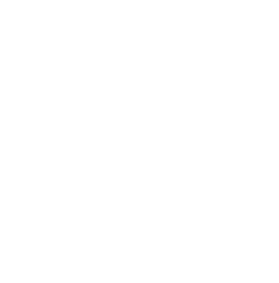 A white background with a few lines on it