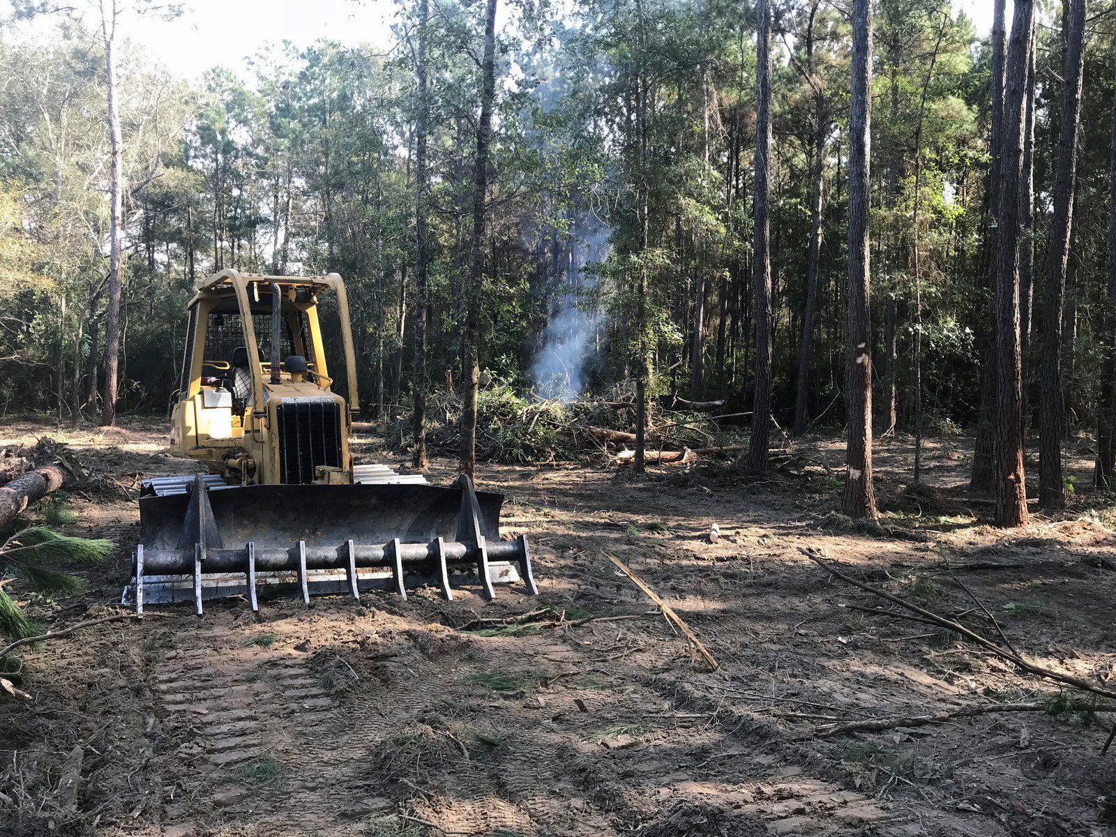 A bulldozer is cutting down trees in a forest.