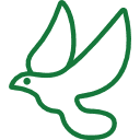 הרחקת יונים