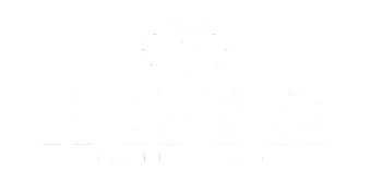 Blank white screen with no visible content