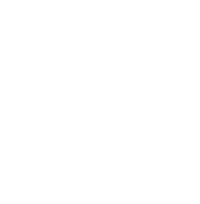 Gesture Activated Icon