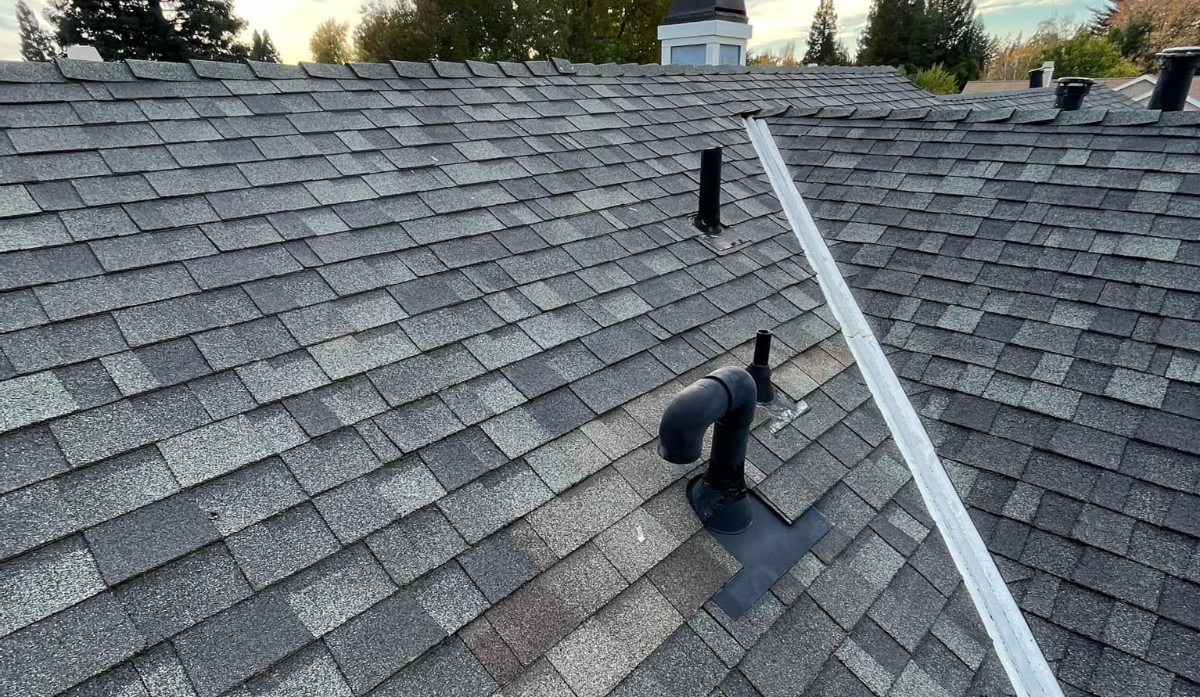 Gray shingle roof with black plumbing vent pipes and white metal flashing.