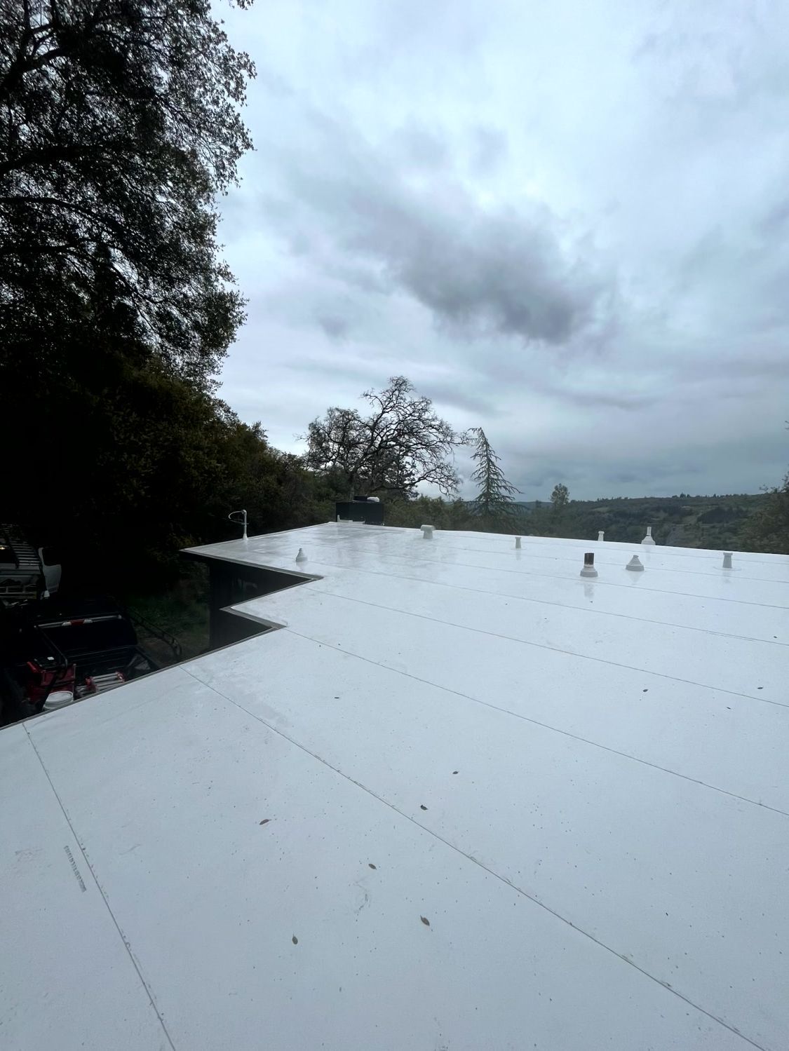 Meta Flat Roofing, Newcastle CA, Lincoln CA, Auburn CA, North Auburn CA, Meadow Vista CA, North Highlands CA, Truckee CA, Loomis CA, Rocklin CA, Roseville CA, East Roseville Parkway Roseville CA, Antelope CA, Orangevale CA, Granite Bay CA, Folsom CA, Colfax CA, Grass Valley CA, Arden-Arcade CA, Arden Park Vista Arden-Arcade CA, Sacramento CA, Roofer Near Me, Roofing Company Near Me, Newcastle Roofing Company, Lincoln Roofing Company, Truckee Roofing Company, Loomis Roofing Company, Rocklin Roofing Company, Roseville Roofing Company, Granite Bay Roofing Company, Folsom Roofing Company, Colfax Roofing Company, Sacramento Roofing Company, Roofing Contractor, Commercial Roofing Company, TPO Roofs, Residential TPO Roofing, Commercial TPO Roofing, TPO Roof Installation, TPO Roof Repair, Flat Roofs, Residential Flat Roofing, Commercial Flat Roofing, Flat Roof Installation, Flat Roof Repair, IB Roof Systems, IB Roof System Installation, Metal Roofs, Residential Metal Roofing, Commercial Metal Roofing, Metal Roof Installation, Metal Roof Repair, Asphalt Roofs, Residential Asphalt Roofing, Commercial Asphalt Roofing, Asphalt Roof Installation, Asphalt Roof Repair, Shingle Roofs, Residential Shingle Roofing, Commercial Shingle Roofing, Shingle Roof Installation, Shingle Roof Repair, Tile Roofs, Residential Tile Roofing, Commercial Tile Roofing, Tile Roof Installation, Tile Roof Repair, Diamond Metal Roofs, Residential Diamond Metal Roofing, Commercial Diamond Metal Roofing, Diamond Metal Roof Installation, Diamond Metal Roof Repair, Tarping, Roof Replacement, Roof Maintenance, Emergency Roofing, Will Insurance Pay for a New Roof, roof replacement from insurance company, ASC metal roofing, GAF TPO, Custom built metal, Taylor Metals, Boral roofing products, Eagle roofing products, GAF roofing products, Certainteed, Owens corning, Iko Industries, GE enduris silicone roofing coatings, Lucas coatings, ASC coatings, Fire stone building products, GAF ever guard, leaf blaster, IB Roof Systems, Epilay, Top shield, PVC roofing system, TPO flat roof installation, Best Flat Roof Company, Flat roof contractor, Residential flat roofing, Commercial flat roofing, Flat roof replacement, Flat roof repair, Flat roof installation, Flat roof specialist, Single ply roofing systems, Energy efficient flat roofing, Cool roof coatings for flat roofs, Flat roof leak repair, Emergency flat roof repair, Flat roof inspection, Flat roof recoating, Flat roof restoration, Roof ponding water solutions, Affordable flat roof repair in Auburn, Affordable flat roof repair in Placer county, Commercial flat roofing in Placer County, Best Flat Roof Company in Placer county, Flat Roof specialist in Auburn, Flat roof specialist in Placer County