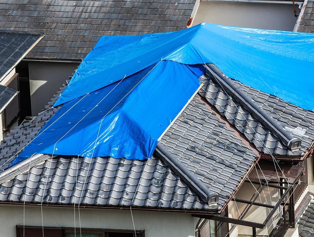 Meta Flat Roofing, Newcastle CA, Lincoln CA, Auburn CA, North Auburn CA, Meadow Vista CA, North Highlands CA, Truckee CA, Loomis CA, Rocklin CA, Roseville CA, East Roseville Parkway Roseville CA, Antelope CA, Orangevale CA, Granite Bay CA, Folsom CA, Colfax CA, Grass Valley CA, Arden-Arcade CA, Arden Park Vista Arden-Arcade CA, Sacramento CA, Roofer Near Me, Roofing Company Near Me, Newcastle Roofing Company, Lincoln Roofing Company, Truckee Roofing Company, Loomis Roofing Company, Rocklin Roofing Company, Roseville Roofing Company, Granite Bay Roofing Company, Folsom Roofing Company, Colfax Roofing Company, Sacramento Roofing Company, Roofing Contractor, Commercial Roofing Company, TPO Roofs, Residential TPO Roofing, Commercial TPO Roofing, TPO Roof Installation, TPO Roof Repair, Flat Roofs, Residential Flat Roofing, Commercial Flat Roofing, Flat Roof Installation, Flat Roof Repair, IB Roof Systems, IB Roof System Installation, Metal Roofs, Residential Metal Roofing, Commercial Metal Roofing, Metal Roof Installation, Metal Roof Repair, Asphalt Roofs, Residential Asphalt Roofing, Commercial Asphalt Roofing, Asphalt Roof Installation, Asphalt Roof Repair, Shingle Roofs, Residential Shingle Roofing, Commercial Shingle Roofing, Shingle Roof Installation, Shingle Roof Repair, Tile Roofs, Residential Tile Roofing, Commercial Tile Roofing, Tile Roof Installation, Tile Roof Repair, Diamond Metal Roofs, Residential Diamond Metal Roofing, Commercial Diamond Metal Roofing, Diamond Metal Roof Installation, Diamond Metal Roof Repair, Tarping, Roof Replacement, Roof Maintenance, Emergency Roofing, Will Insurance Pay for a New Roof, roof replacement from insurance company, ASC metal roofing, GAF TPO, Custom built metal, Taylor Metals, Boral roofing products, Eagle roofing products, GAF roofing products, Certainteed, Owens corning, Iko Industries, GE enduris silicone roofing coatings, Lucas coatings, ASC coatings, Fire stone building products, GAF ever guard, leaf blaster, IB Roof Systems, Epilay, Top shield, PVC roofing system, TPO flat roof installation, Best Flat Roof Company, Flat roof contractor, Residential flat roofing, Commercial flat roofing, Flat roof replacement, Flat roof repair, Flat roof installation, Flat roof specialist, Single ply roofing systems, Energy efficient flat roofing, Cool roof coatings for flat roofs, Flat roof leak repair, Emergency flat roof repair, Flat roof inspection, Flat roof recoating, Flat roof restoration, Roof ponding water solutions, Affordable flat roof repair in Auburn, Affordable flat roof repair in Placer county, Commercial flat roofing in Placer County, Best Flat Roof Company in Placer county, Flat Roof specialist in Auburn, Flat roof specialist in Placer County