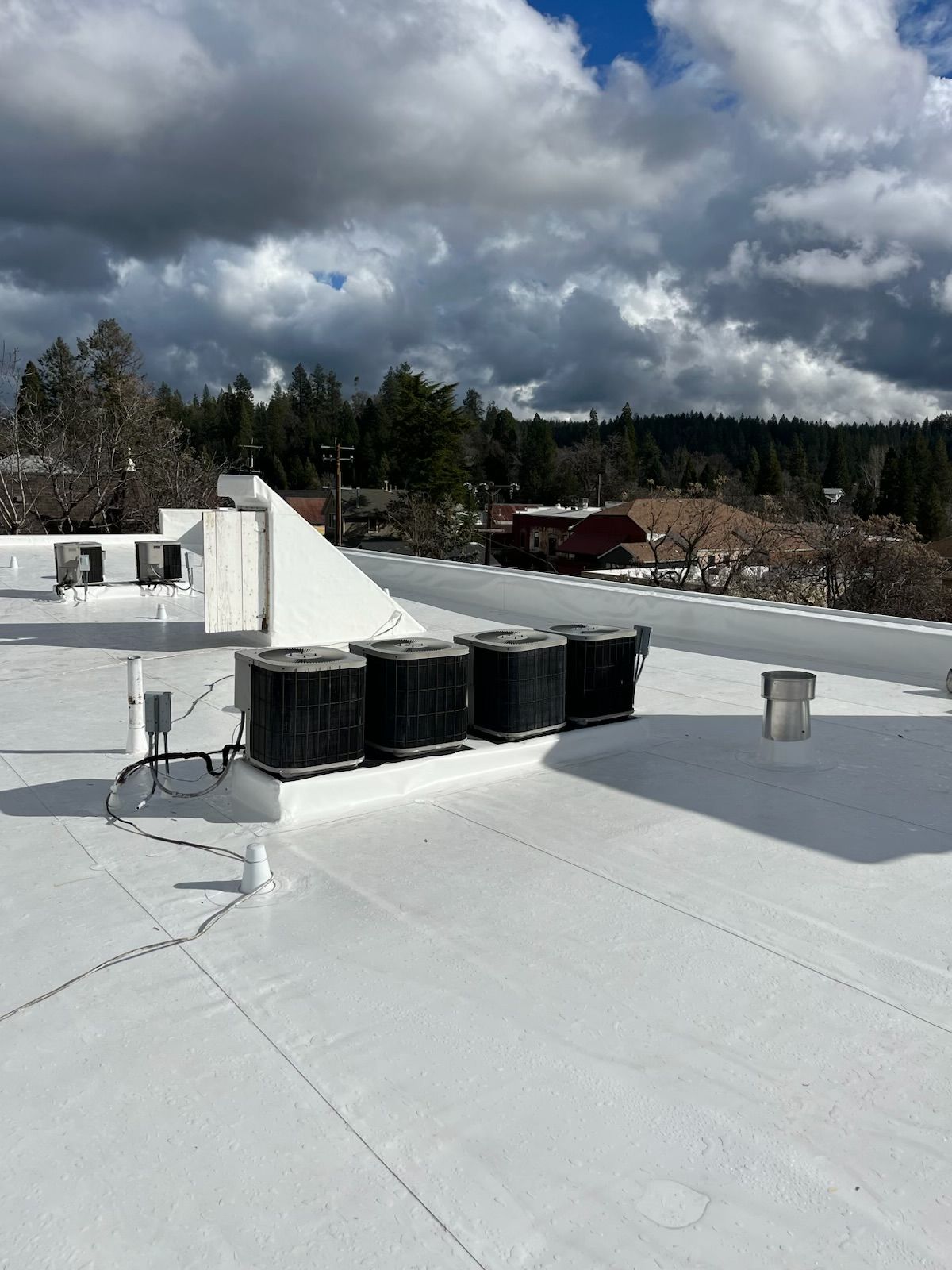 Meta Flat Roofing, Newcastle CA, Lincoln CA, Auburn CA, North Auburn CA, Meadow Vista CA, North Highlands CA, Truckee CA, Loomis CA, Rocklin CA, Roseville CA, East Roseville Parkway Roseville CA, Antelope CA, Orangevale CA, Granite Bay CA, Folsom CA, Colfax CA, Grass Valley CA, Arden-Arcade CA, Arden Park Vista Arden-Arcade CA, Sacramento CA, Roofer Near Me, Roofing Company Near Me, Newcastle Roofing Company, Lincoln Roofing Company, Truckee Roofing Company, Loomis Roofing Company, Rocklin Roofing Company, Roseville Roofing Company, Granite Bay Roofing Company, Folsom Roofing Company, Colfax Roofing Company, Sacramento Roofing Company, Roofing Contractor, Commercial Roofing Company, TPO Roofs, Residential TPO Roofing, Commercial TPO Roofing, TPO Roof Installation, TPO Roof Repair, Flat Roofs, Residential Flat Roofing, Commercial Flat Roofing, Flat Roof Installation, Flat Roof Repair, IB Roof Systems, IB Roof System Installation, Metal Roofs, Residential Metal Roofing, Commercial Metal Roofing, Metal Roof Installation, Metal Roof Repair, Asphalt Roofs, Residential Asphalt Roofing, Commercial Asphalt Roofing, Asphalt Roof Installation, Asphalt Roof Repair, Shingle Roofs, Residential Shingle Roofing, Commercial Shingle Roofing, Shingle Roof Installation, Shingle Roof Repair, Tile Roofs, Residential Tile Roofing, Commercial Tile Roofing, Tile Roof Installation, Tile Roof Repair, Diamond Metal Roofs, Residential Diamond Metal Roofing, Commercial Diamond Metal Roofing, Diamond Metal Roof Installation, Diamond Metal Roof Repair, Tarping, Roof Replacement, Roof Maintenance, Emergency Roofing, Will Insurance Pay for a New Roof, roof replacement from insurance company, ASC metal roofing, GAF TPO, Custom built metal, Taylor Metals, Boral roofing products, Eagle roofing products, GAF roofing products, Certainteed, Owens corning, Iko Industries, GE enduris silicone roofing coatings, Lucas coatings, ASC coatings, Fire stone building products, GAF ever guard, leaf blaster, IB Roof Systems, Epilay, Top shield, PVC roofing system, TPO flat roof installation, Best Flat Roof Company, Flat roof contractor, Residential flat roofing, Commercial flat roofing, Flat roof replacement, Flat roof repair, Flat roof installation, Flat roof specialist, Single ply roofing systems, Energy efficient flat roofing, Cool roof coatings for flat roofs, Flat roof leak repair, Emergency flat roof repair, Flat roof inspection, Flat roof recoating, Flat roof restoration, Roof ponding water solutions, Affordable flat roof repair in Auburn, Affordable flat roof repair in Placer county, Commercial flat roofing in Placer County, Best Flat Roof Company in Placer county, Flat Roof specialist in Auburn, Flat roof specialist in Placer County