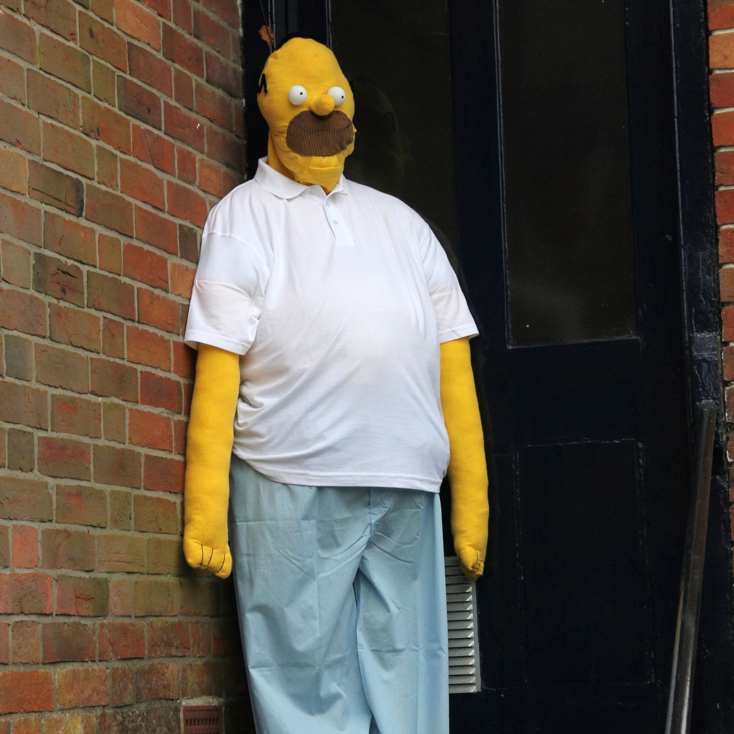 HOMER SIMPSON