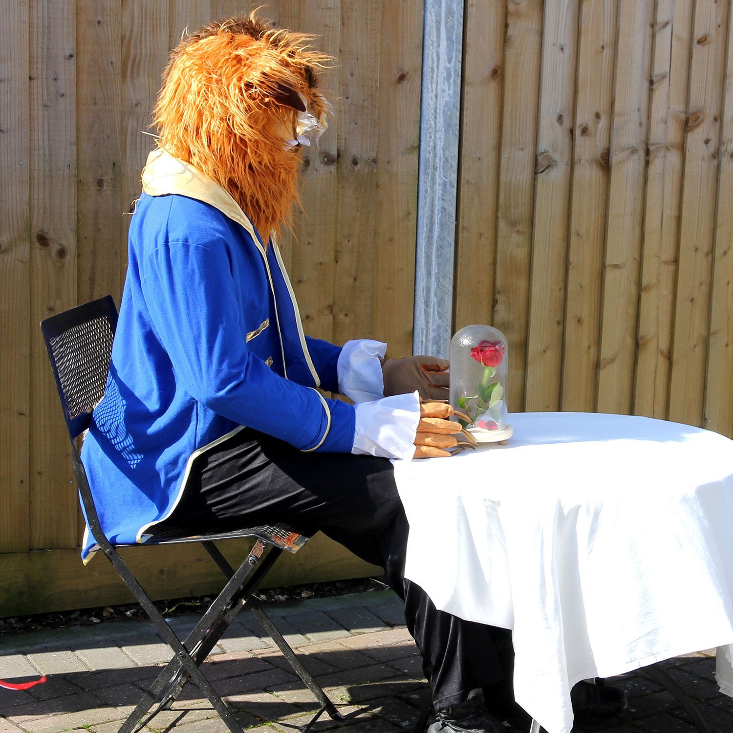 SCARECROW BEAUTY AND THE BEAST