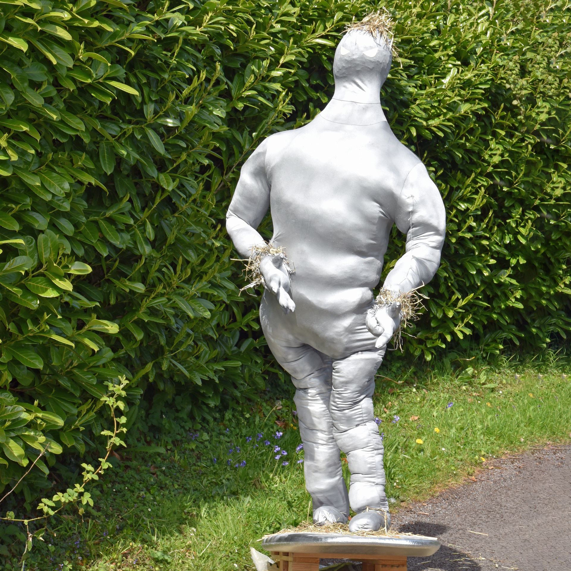 SCARECROW SILVER SURFER