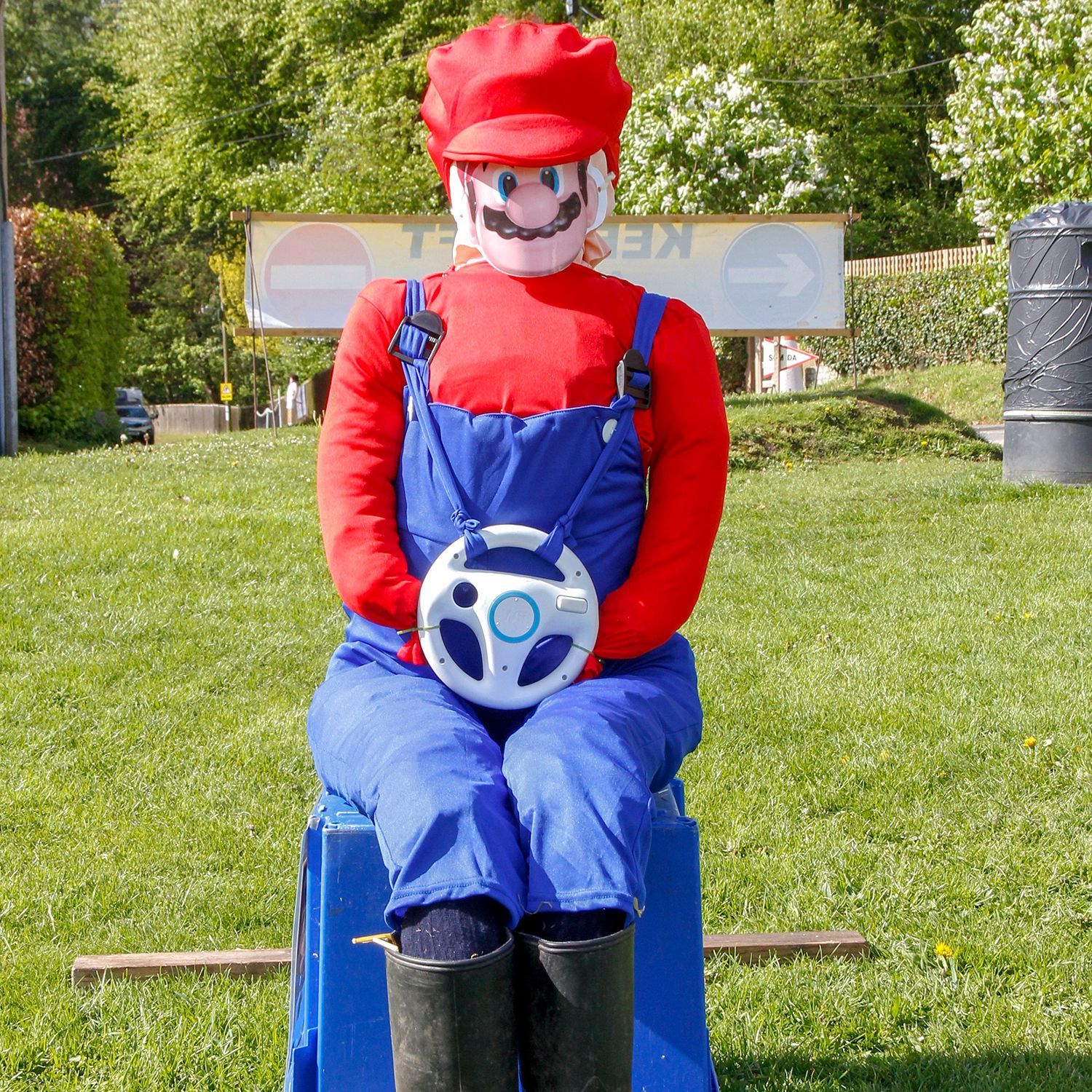 SCARECROW SUPERMARIO