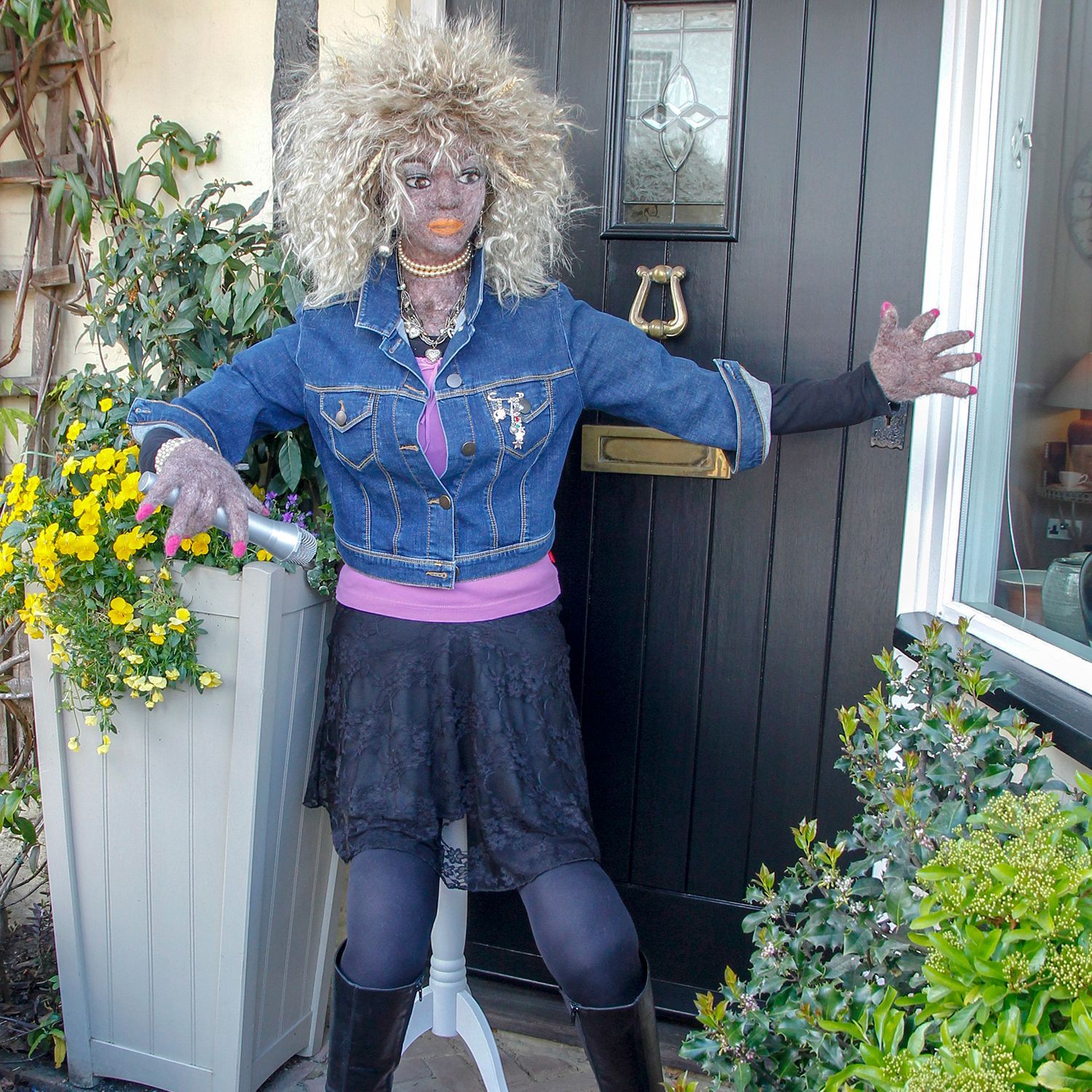 SCARECROW TINA TURNER