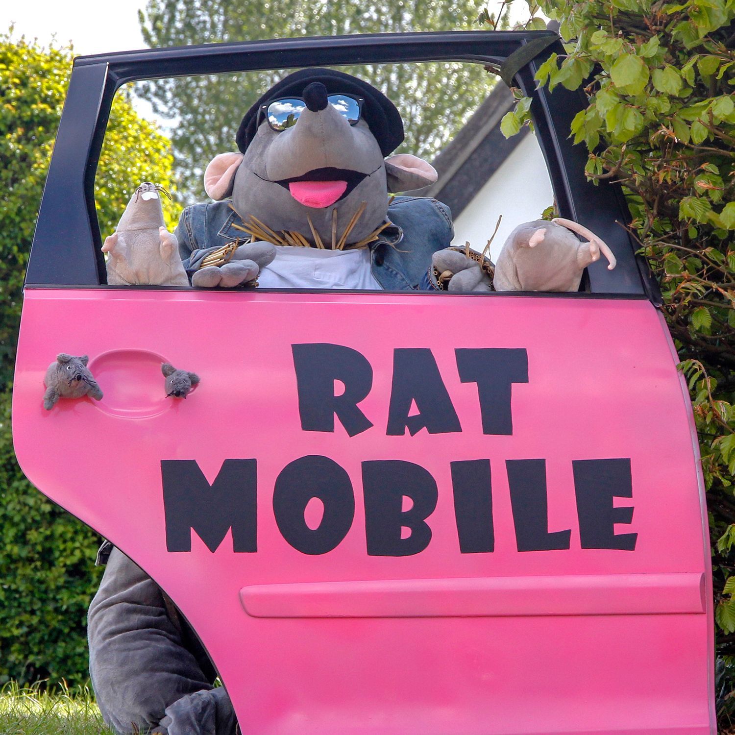 SCARECROW ROLAND RAT