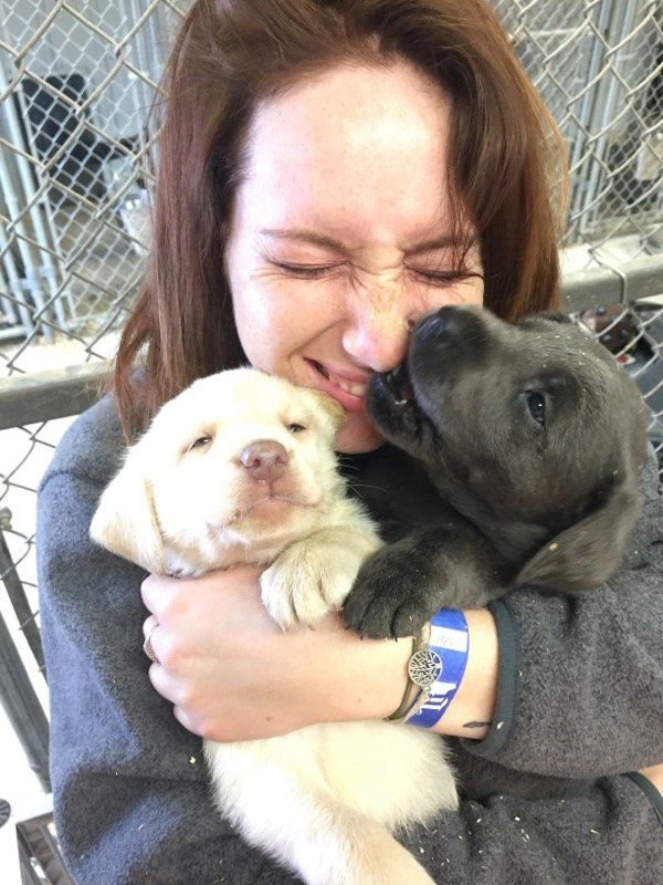 A woman is holding two puppies in her arms.
